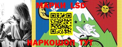 прущие грибы Комсомольск-на-Амуре
