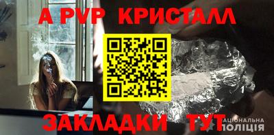 прущие грибы Комсомольск-на-Амуре