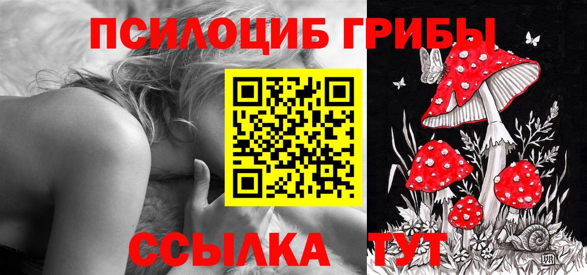 Галлюциногенные грибы MAGIC MUSHROOMS Ревда